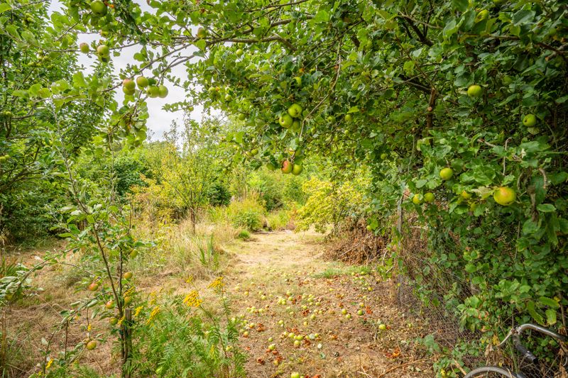 Garden- click for photo gallery